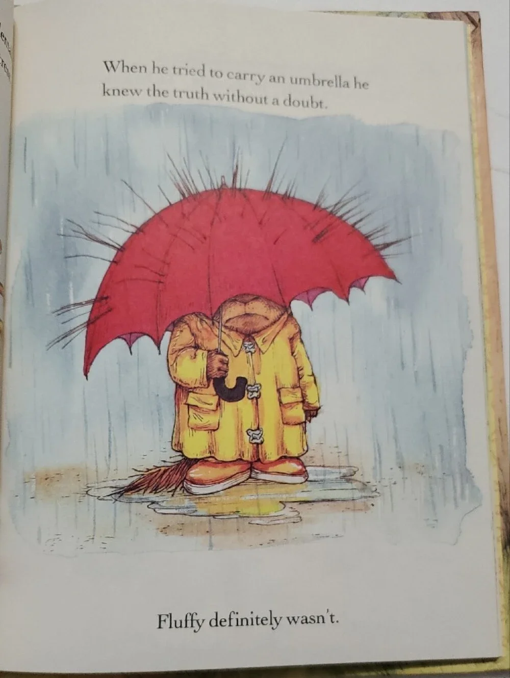 A Porcupine Named Fluffy Vintage 1986 — Illustrated Children’s Book